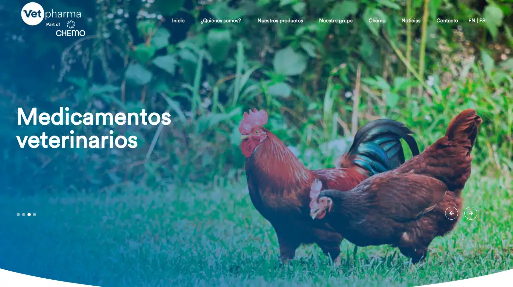 portfolio web - Portfolio web Unai Calleja