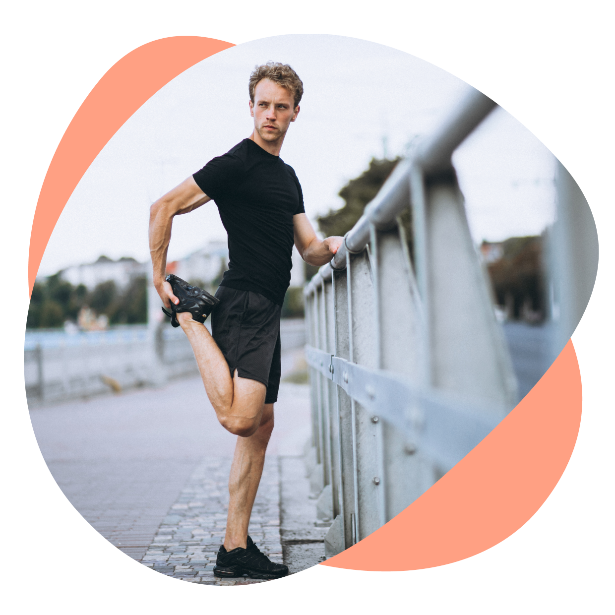 Unai Calleja mantenimiento wordpress - Mantenimiento web wordpress Mantenimiento web wordpress - Mantenimiento web Wordpress Unai Calleja